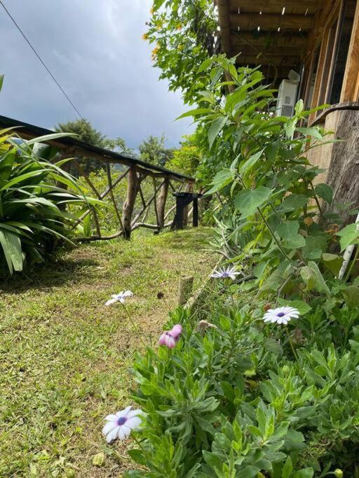 Rustic In Chalet